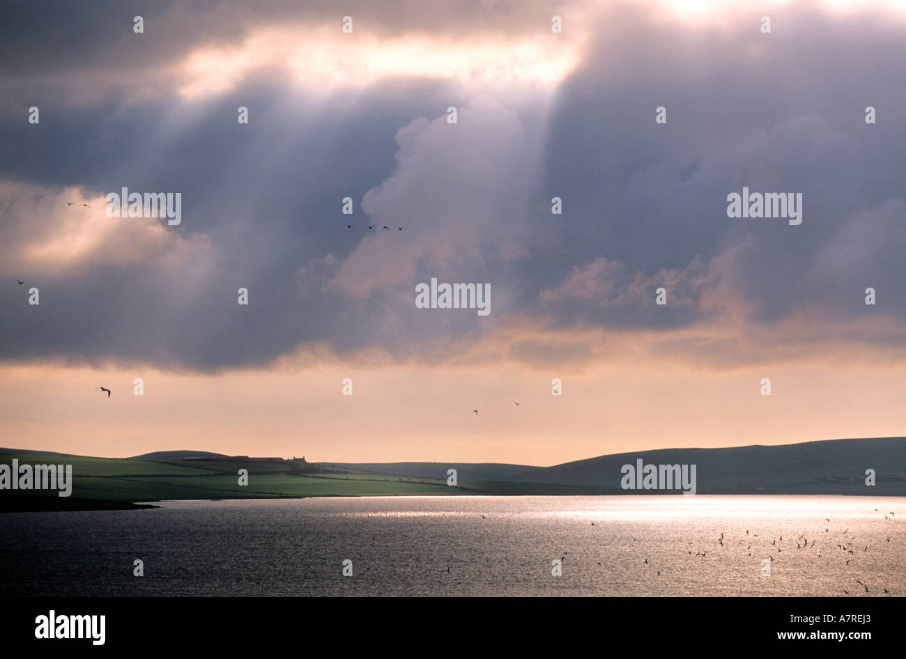 United Kingdom, Scotland, Orkney Islands, Mainland, Loch of Stenness Stock Photo