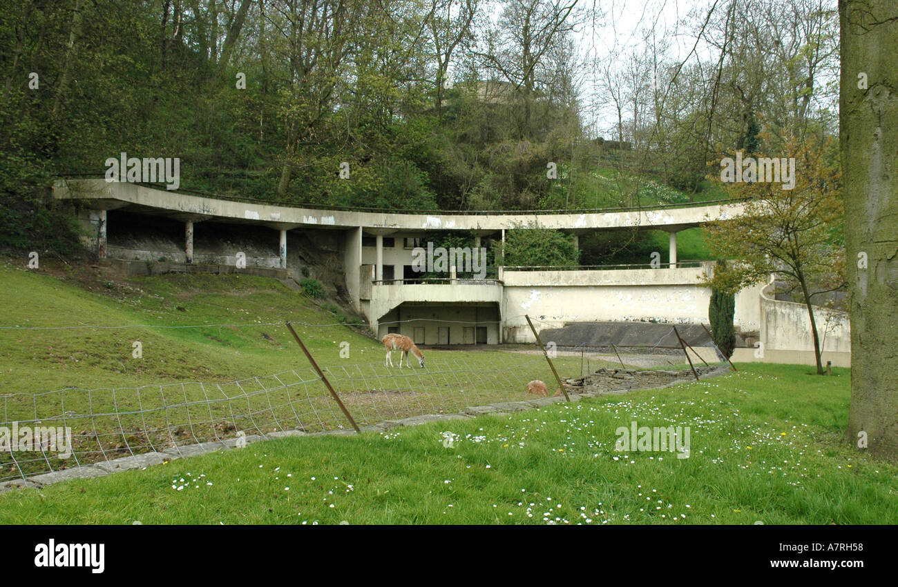 Bear pit at Dudley zoo designed by Russian architect Berthold Lubetkin