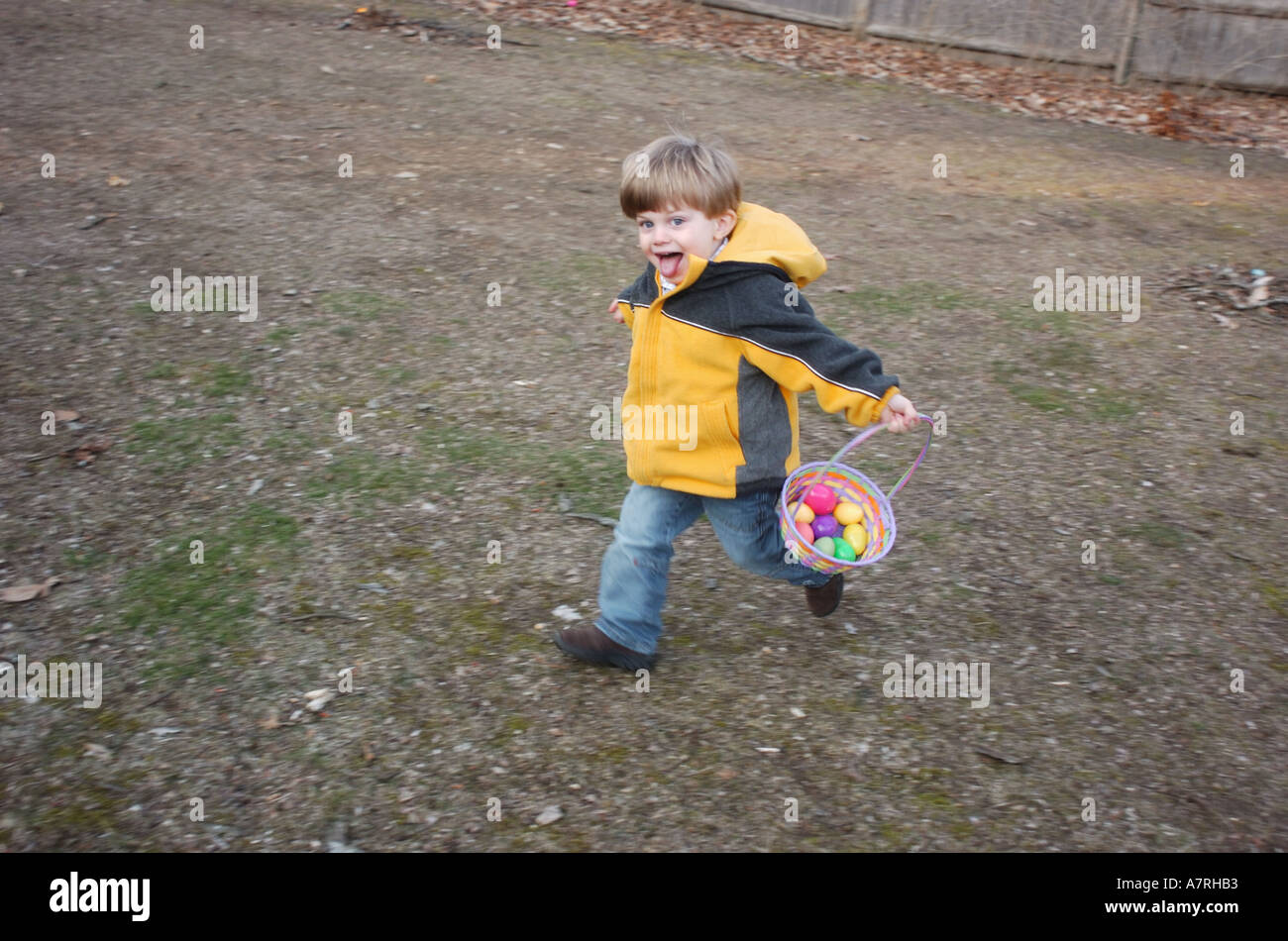 Small child with easter basket looking for easter eggs in a backyard easter egg hunt Stock Photo