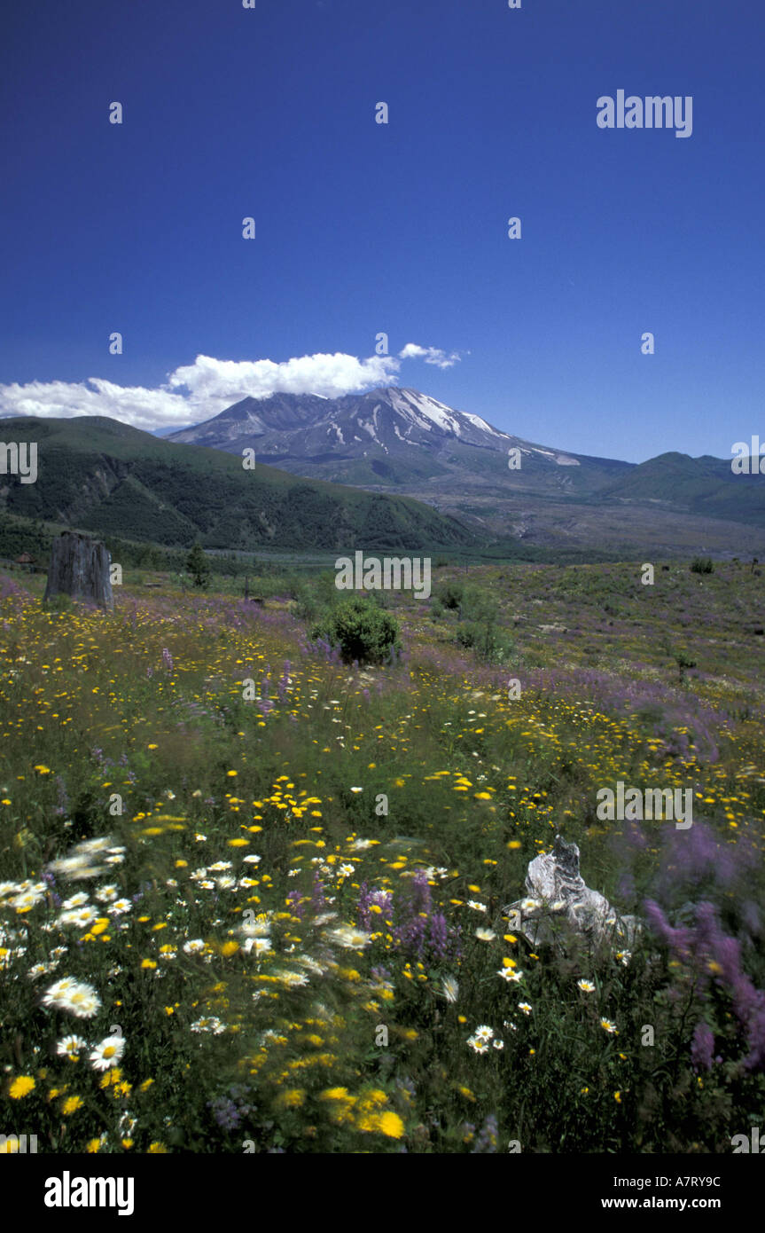 Coldwater ridge hi-res stock photography and images - Alamy