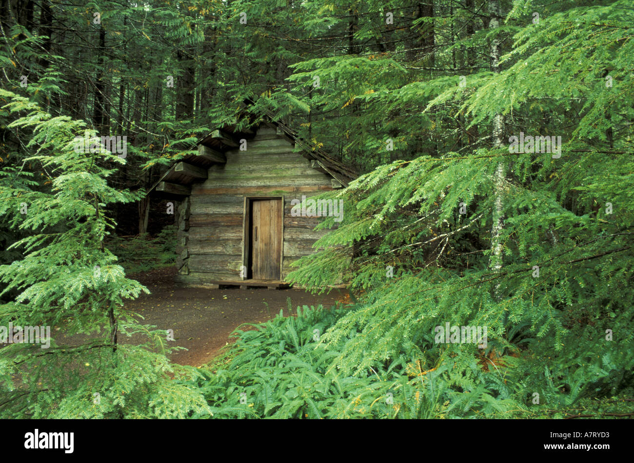 N A Usa Washington Mt Rainier National Park Old Longmire