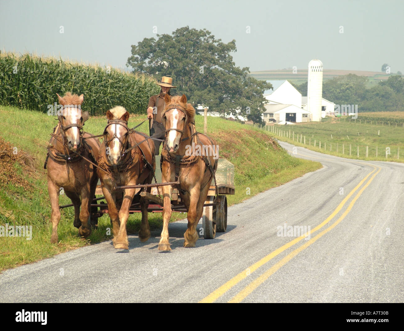 Pa farms hi-res stock photography and images - Alamy