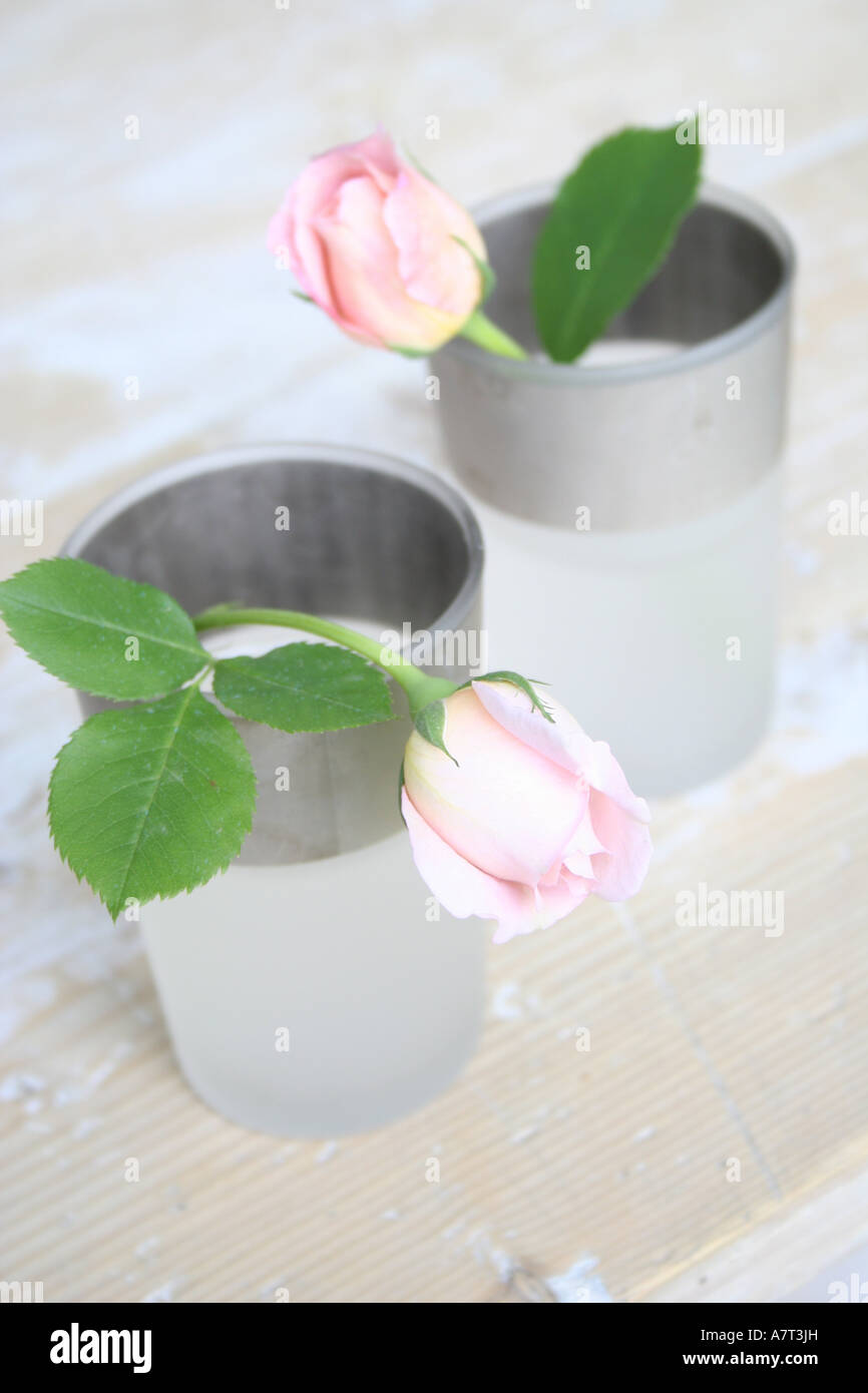 Close-up of two roses in vases Stock Photo