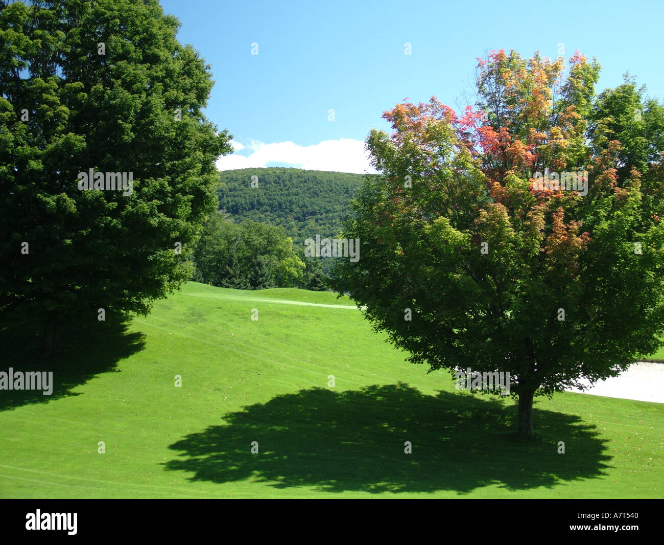 AJD36999, Cooperstown, NY, New York Stock Photo