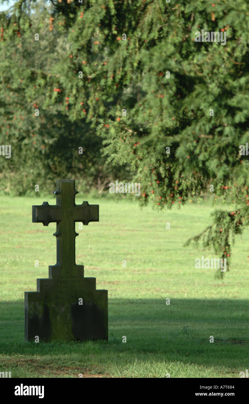 Grave0019 Stock Photo