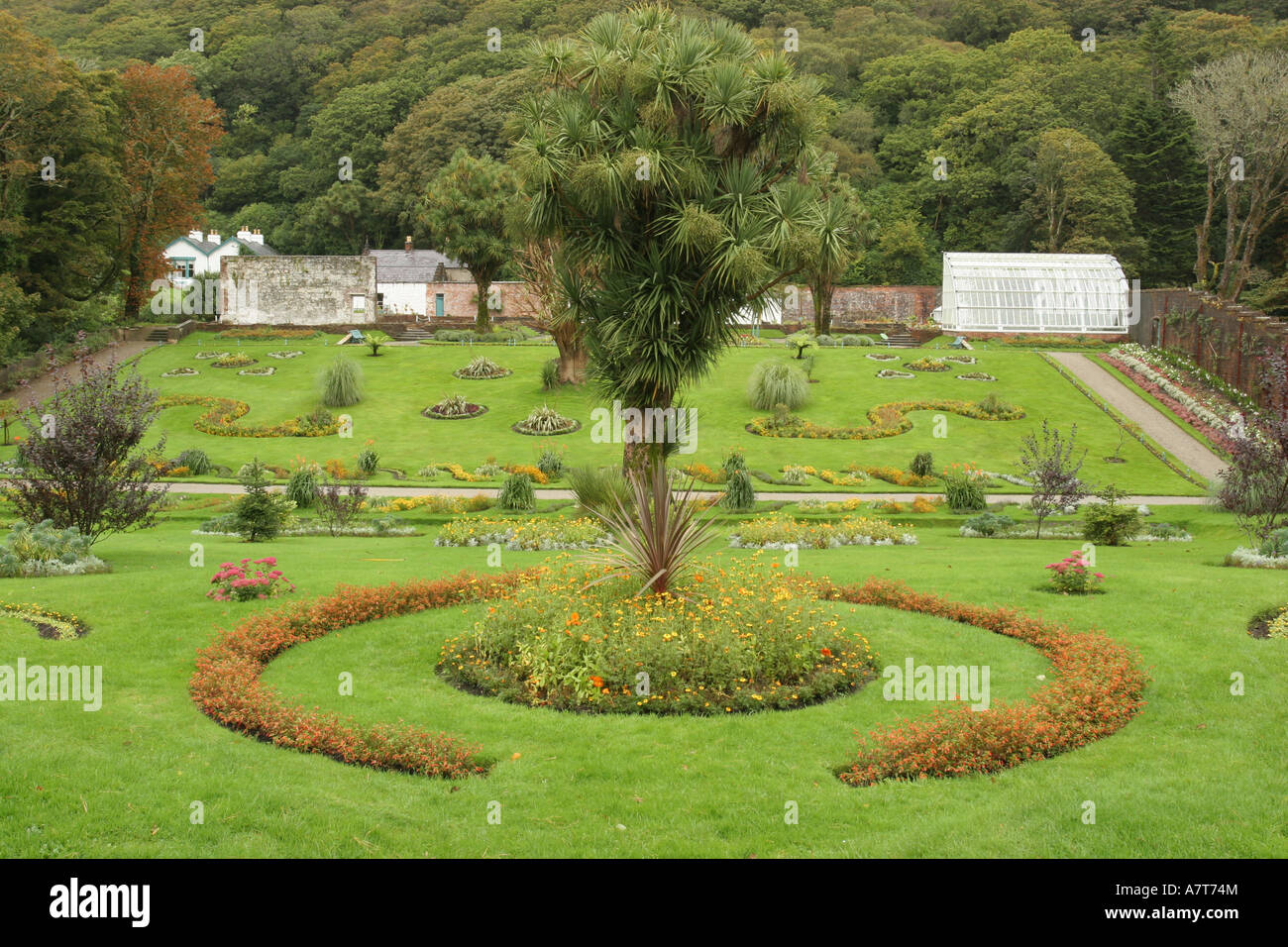 Tree in formal garden, Kylemore Abbey, Republic of Ireland Stock Photo Alamy