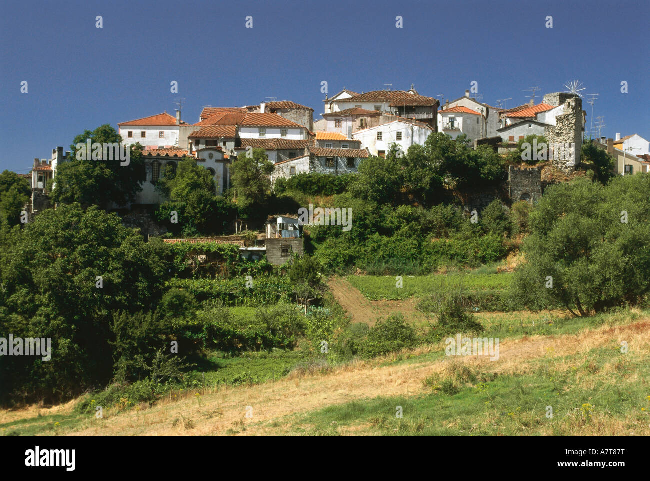 On grassed hill hi-res stock photography and images - Alamy