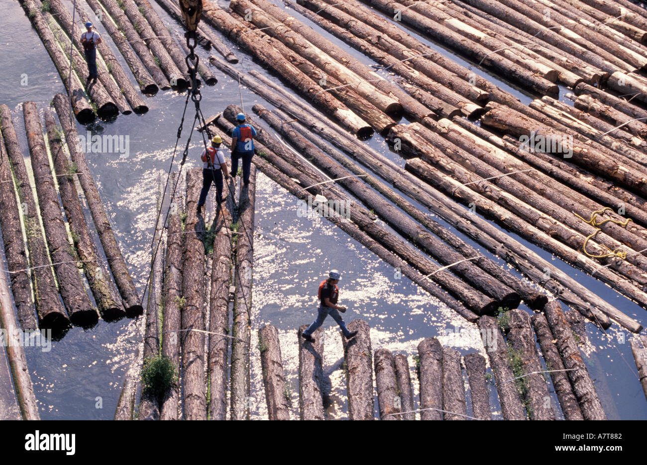 Floating Logs Down a River Stock Photo Alamy