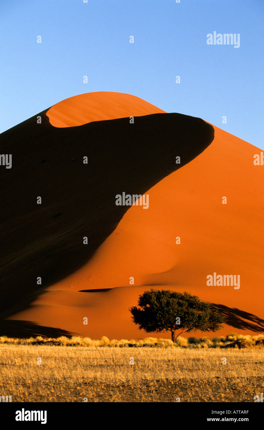 Namibia, Namib desert, Naukluft National Park, Sossusvlei sand dunes ...