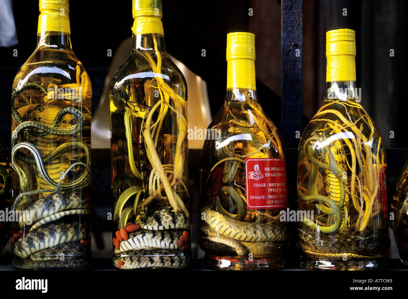 Vietnam, Mekong Delta, snake alcohol Stock Photo Alamy
