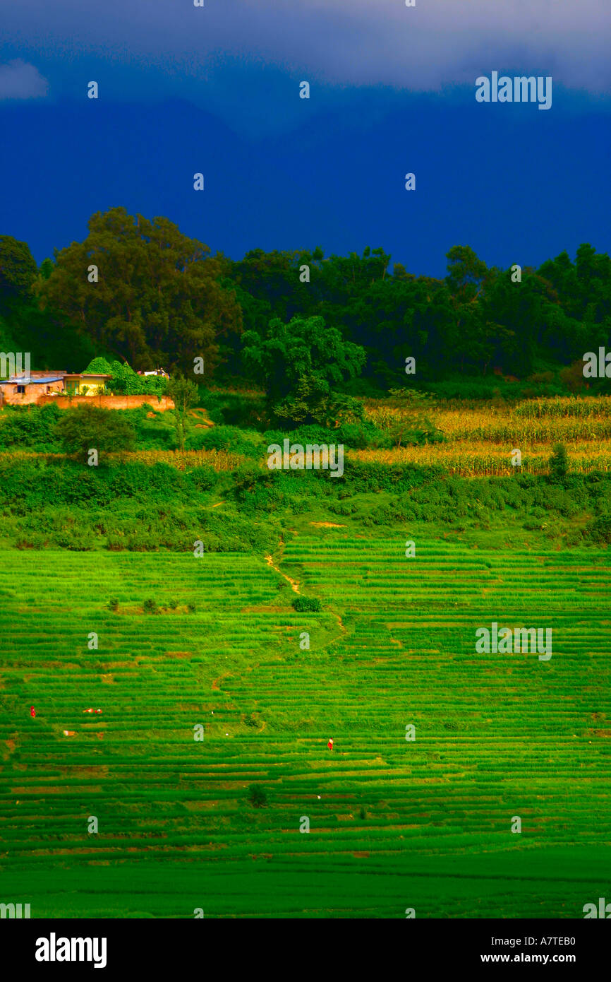 Shaft of light bursts through monsoon clouds onto paddy fields near Godavari south of Kathmandu Stock Photo