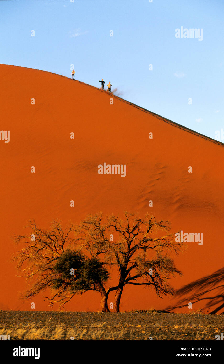 Namibia, Namib desert, Naukluft National Park, Sossusvlei sand dunes ...