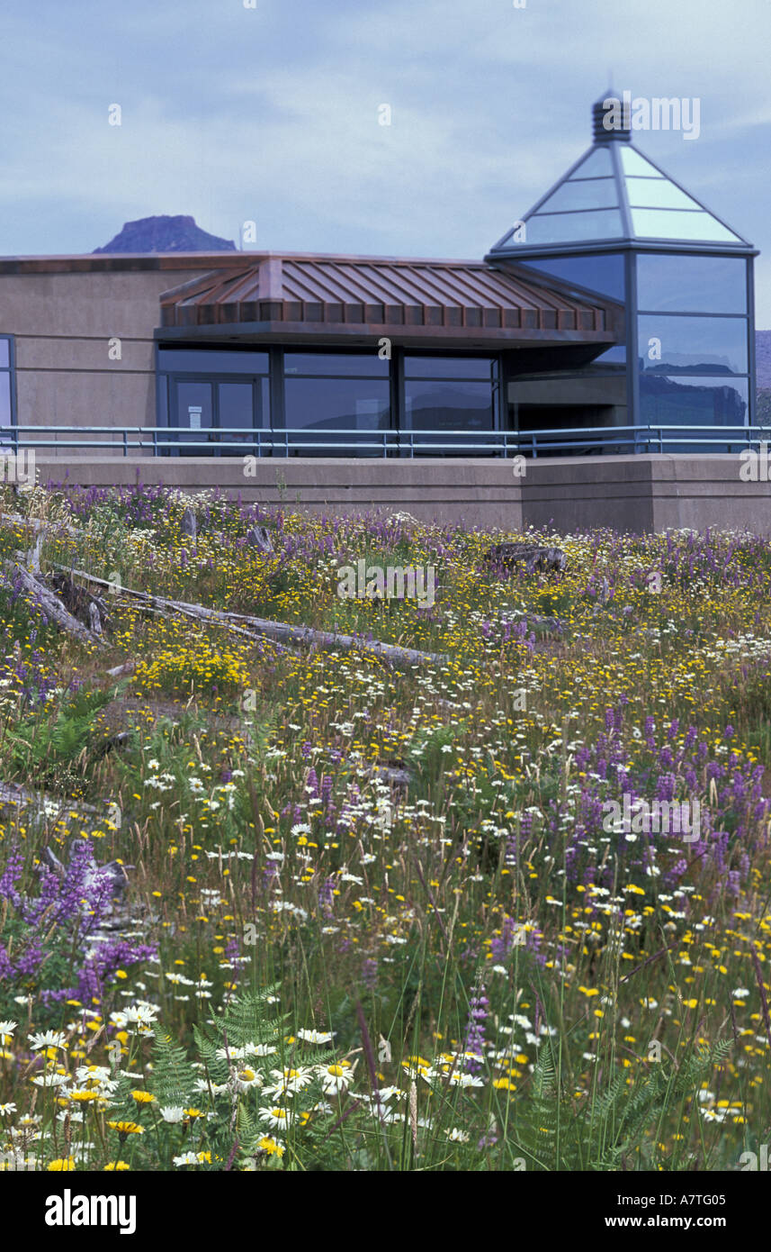 Coldwater ridge visitors center hi-res stock photography and images - Alamy