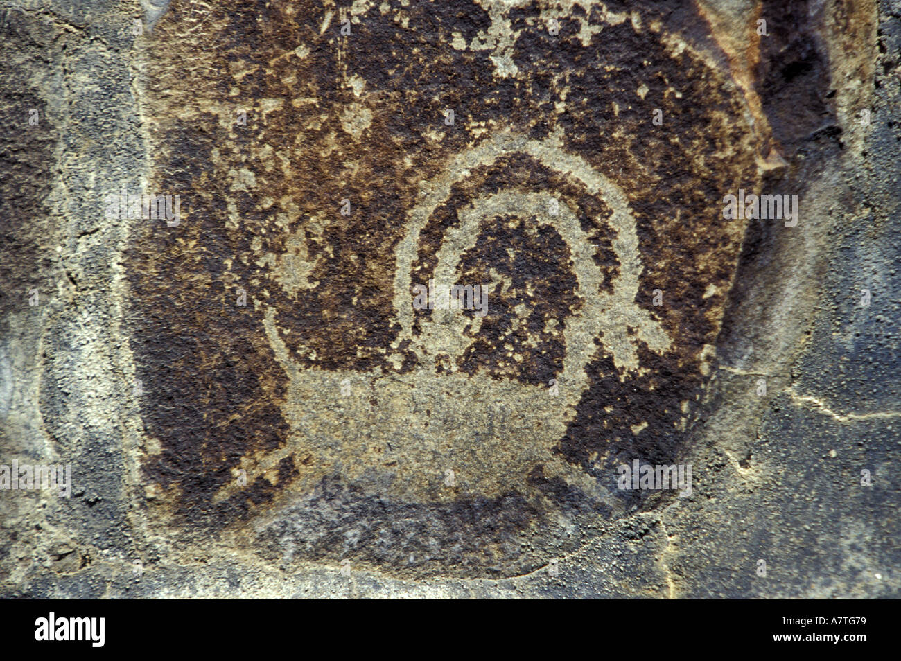 Gingko petrified forest state park hi-res stock photography and images ...