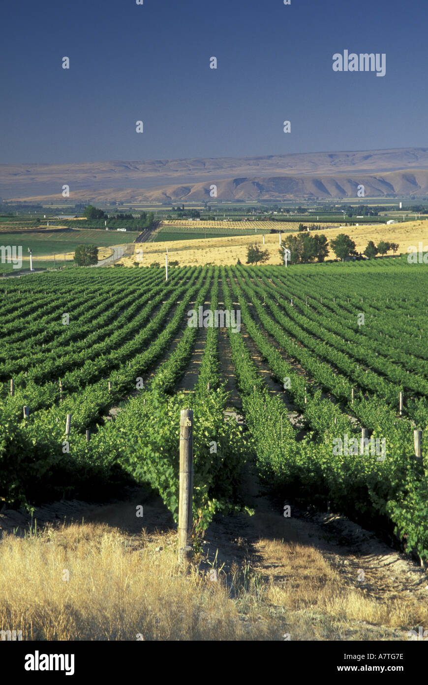 West yakima hires stock photography and images Alamy