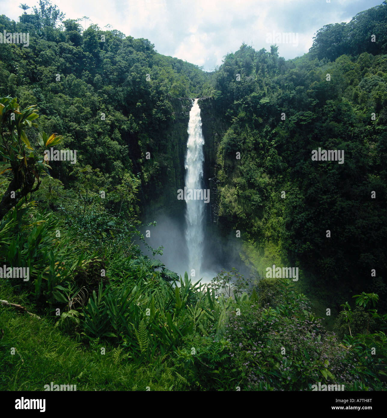 Akaka waterfall, Hamakua Coast, Hawaii Stock Photo Alamy