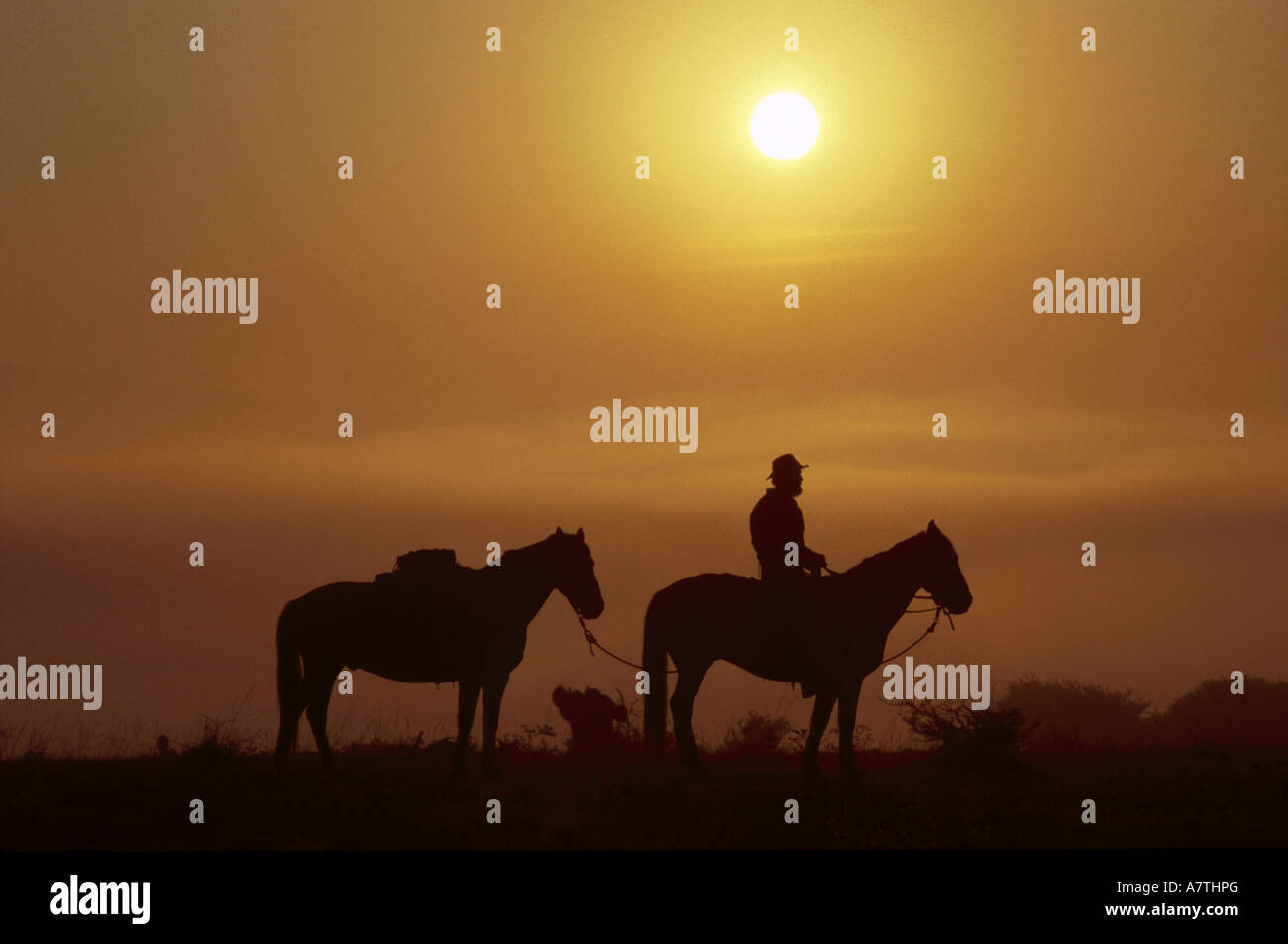 Two cowboys hi-res stock photography and images - Alamy