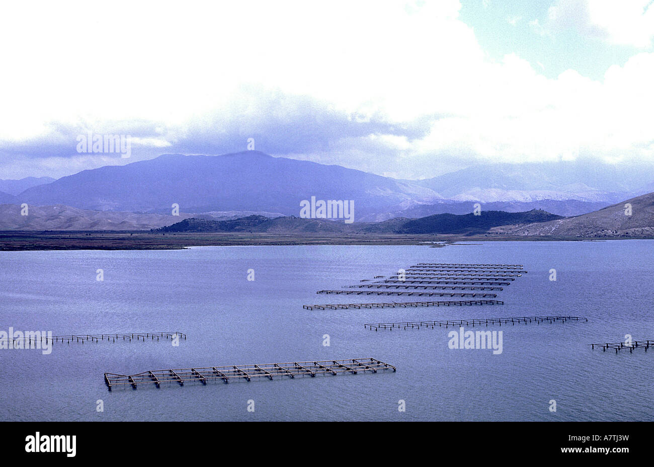 Fish farms in lake, Sarande, Vlore County, Albania Stock Photo