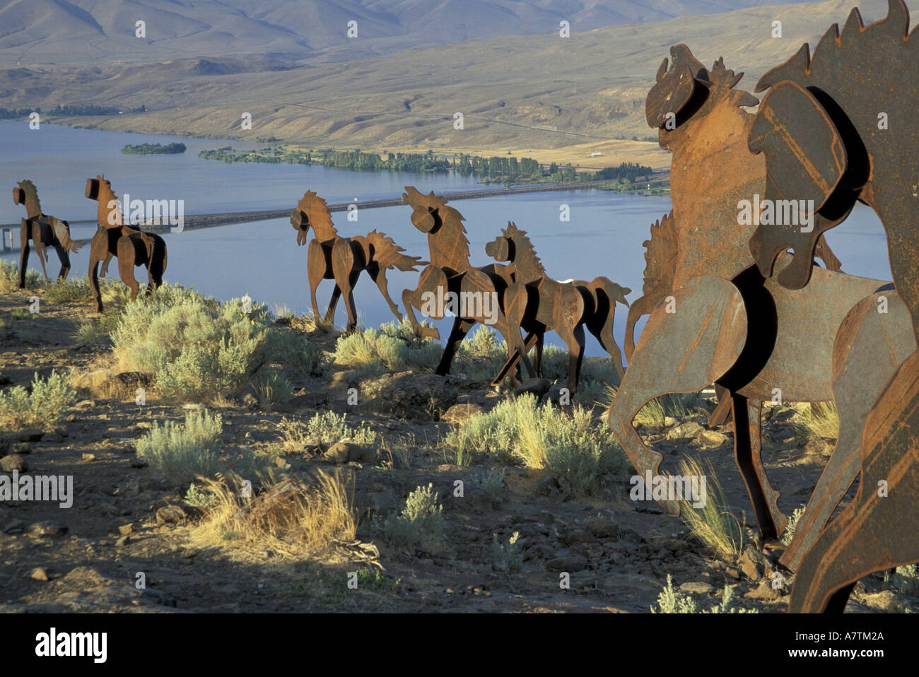 Horse sculpture vantage washington hires stock photography and images