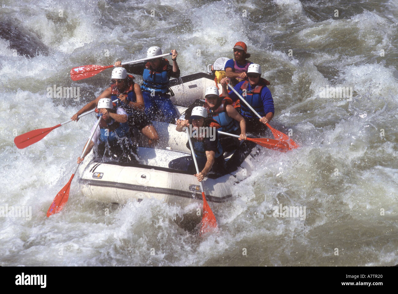 USA, Fayetteville, West Virginia, Whitewater rafting on the Gauley River Stock Photo