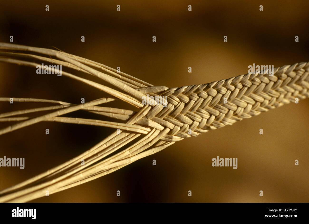 Straw body hi-res stock photography and images - Alamy