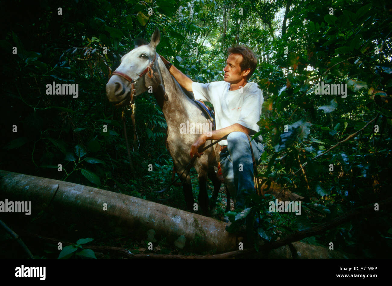 Man with horse in forest Stock Photo - Alamy