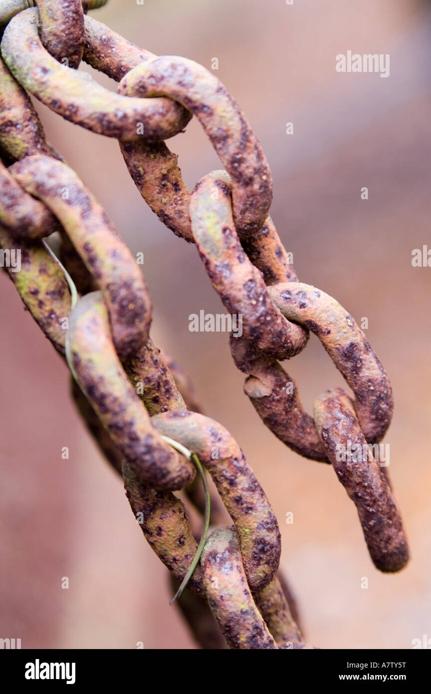 rusty chain on a blurred background Stock Photo - Alamy