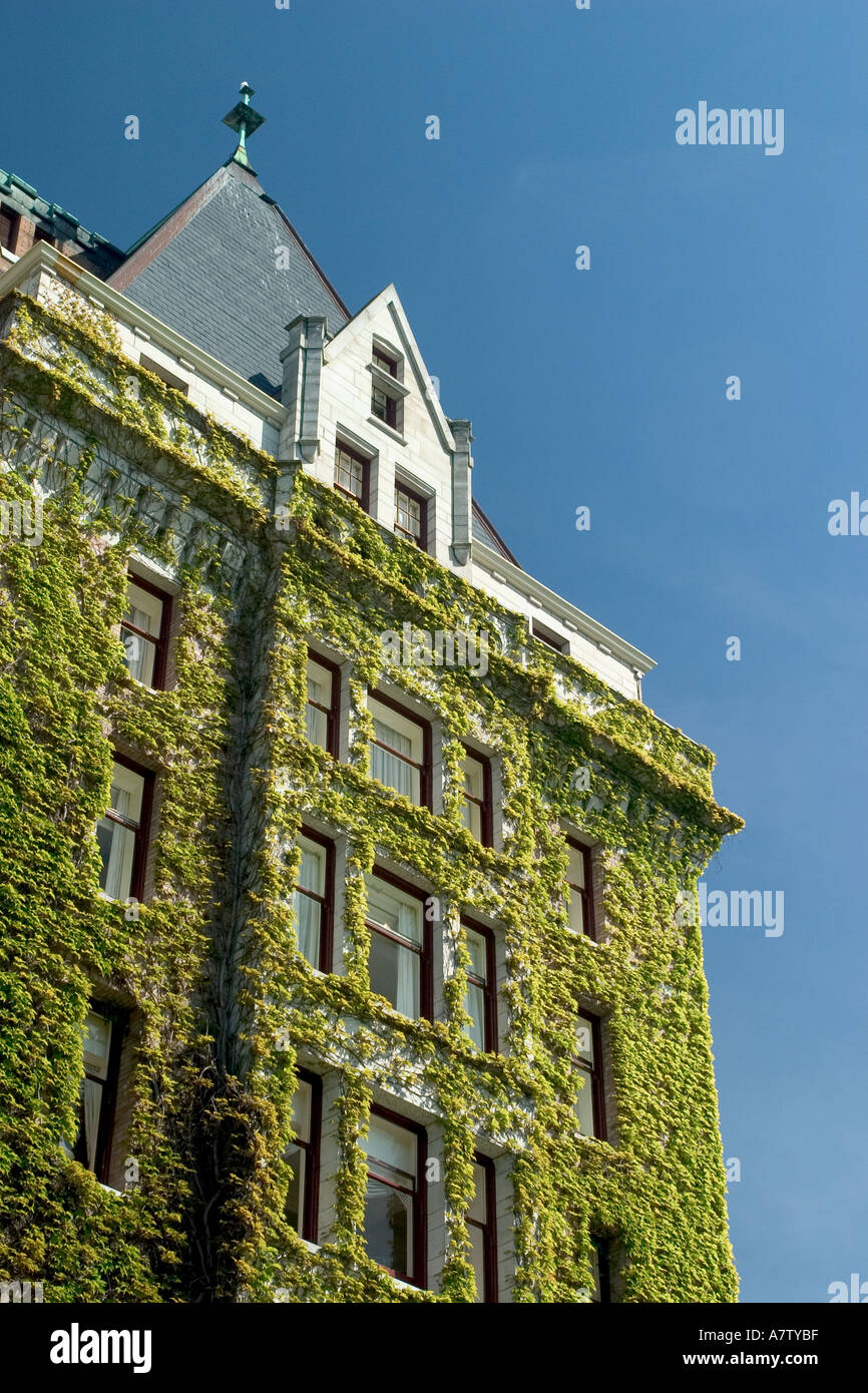 Vine covered facade of the Empress Hotel Victoria British Columbia Canada  Stock Photo - Alamy, image size:866x1390