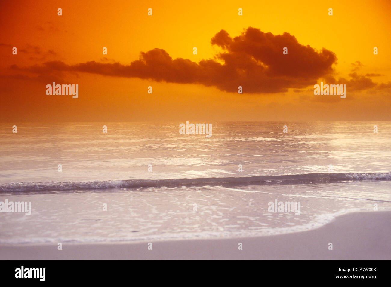 Panoramic view of sunset at sea Stock Photo - Alamy