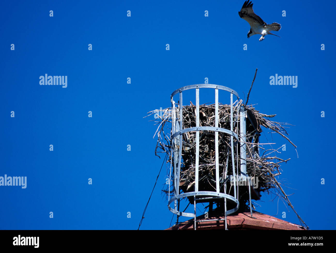 Cape Jourimain Lighthouse with osprey nest on it New Brunswick Canada Stock Photo