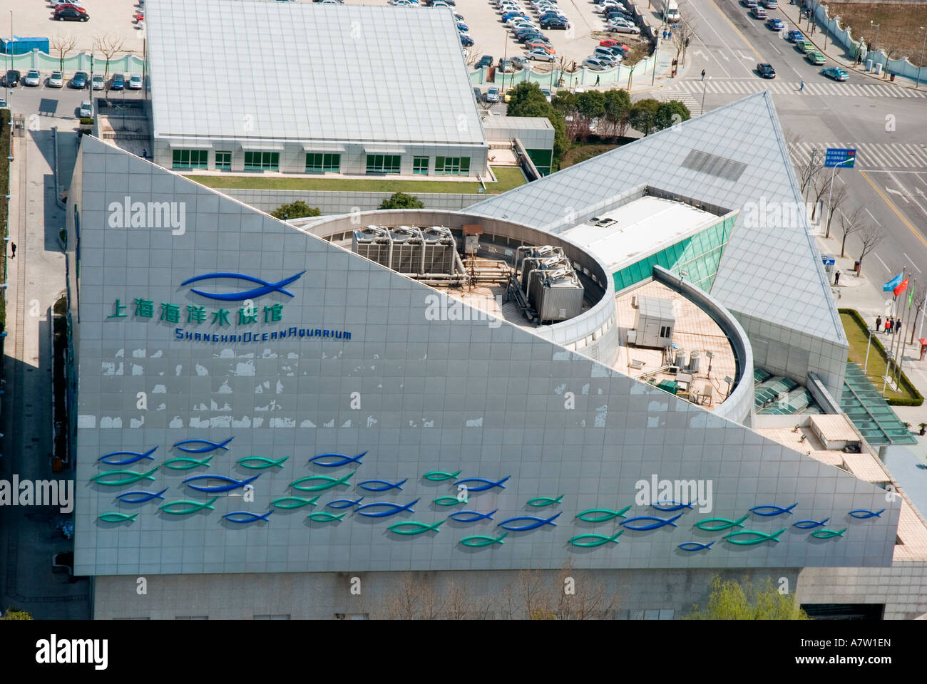 Shanghai Ocean Aquarium Stock Photo Alamy