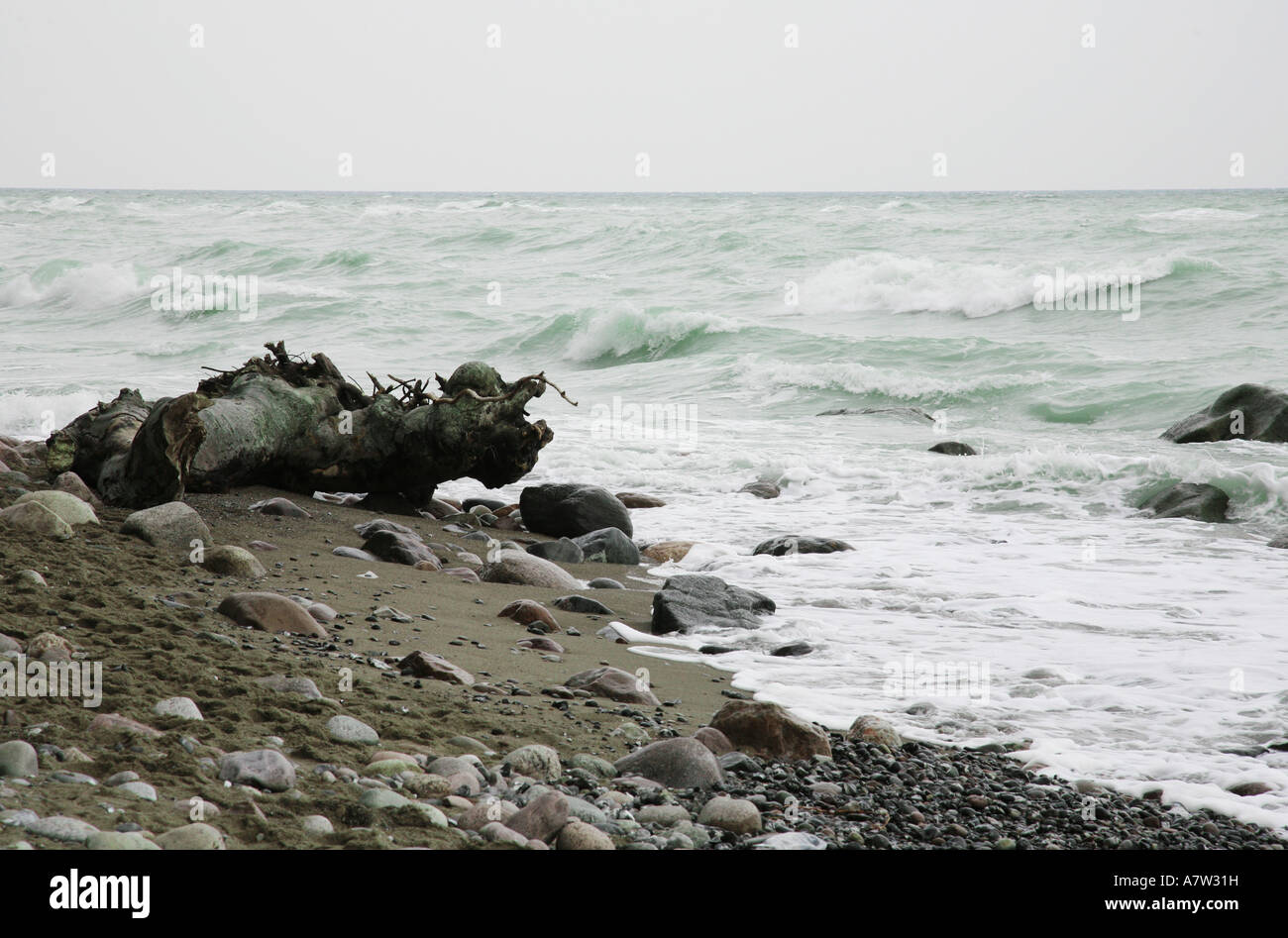 Baltic Sea beach on Ruegen, Germany, Ruegen, NP Jasmund Stock Photo - Alamy