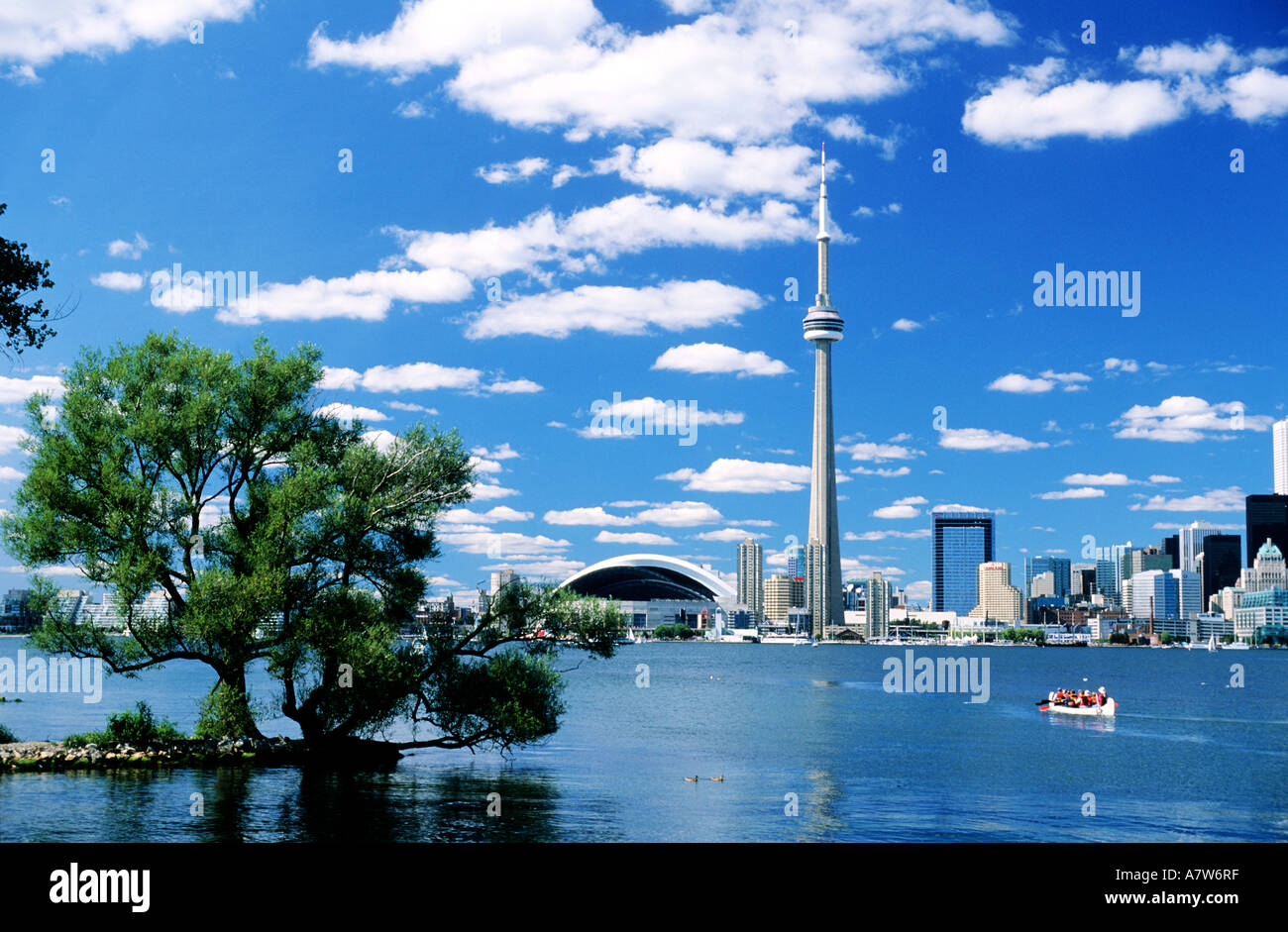 Cn tower view from hi-res stock photography and images - Alamy