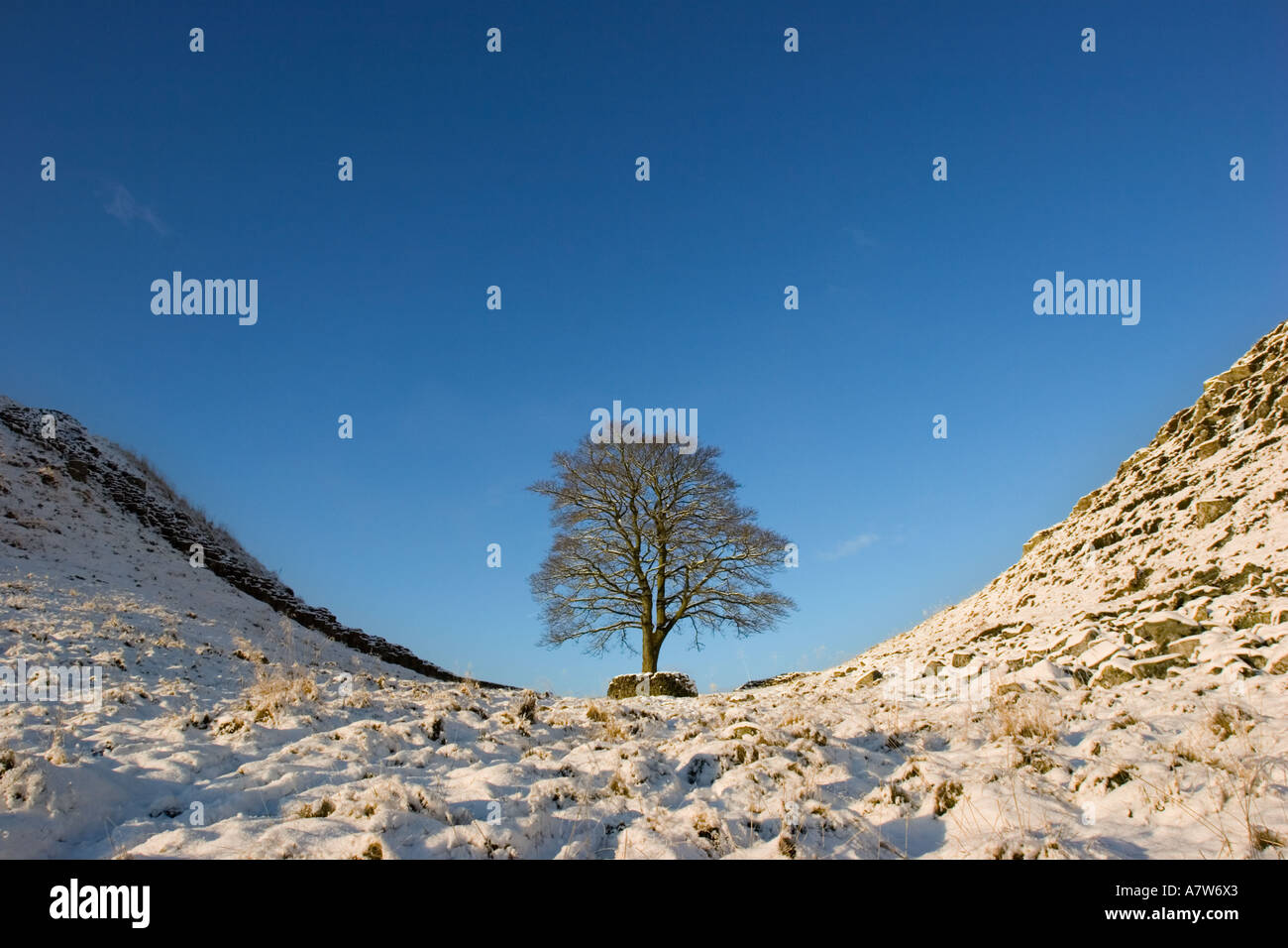 Prince of thieves freeman kevin hires stock photography and