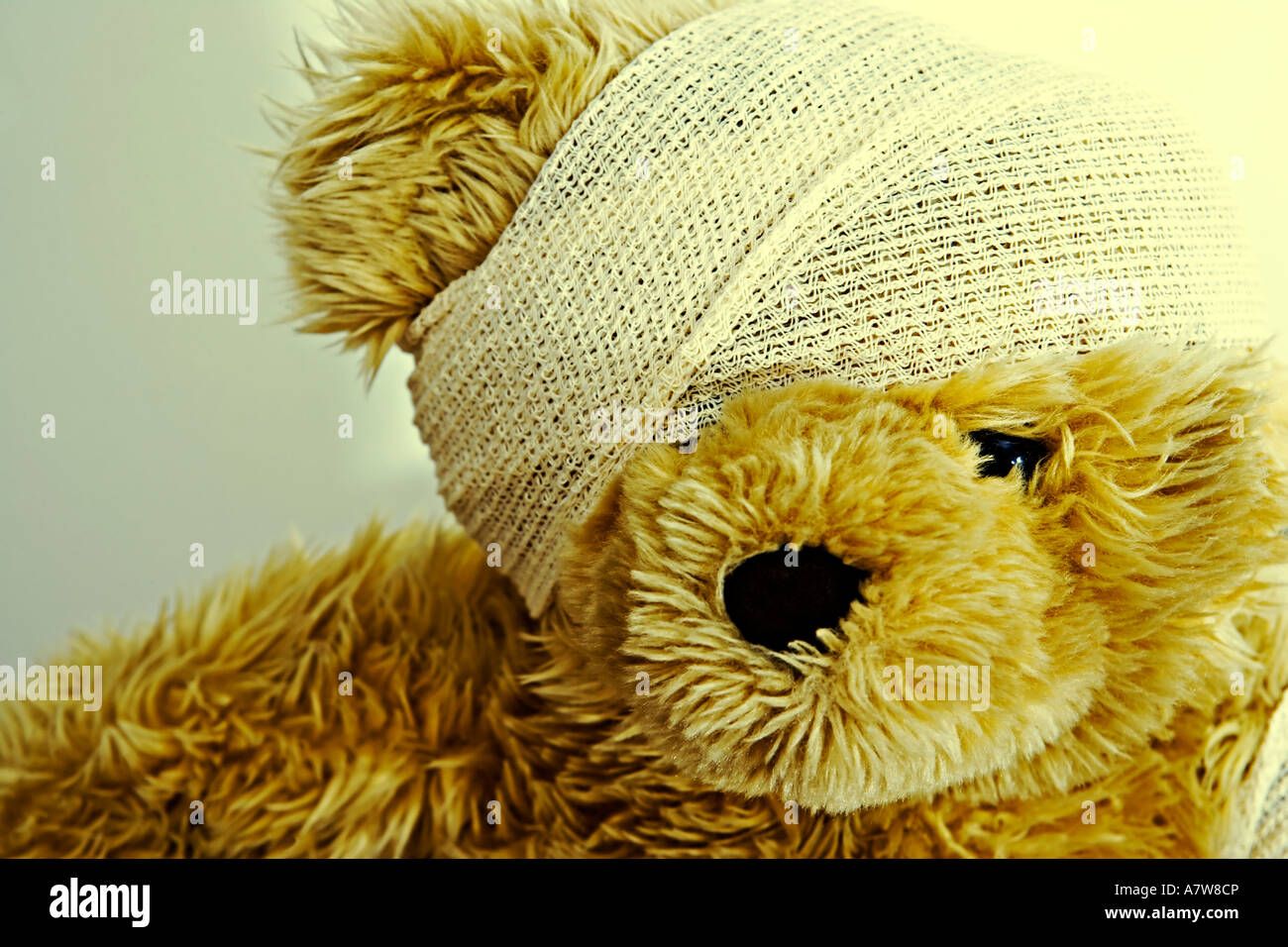 teddy bear with bandage on head