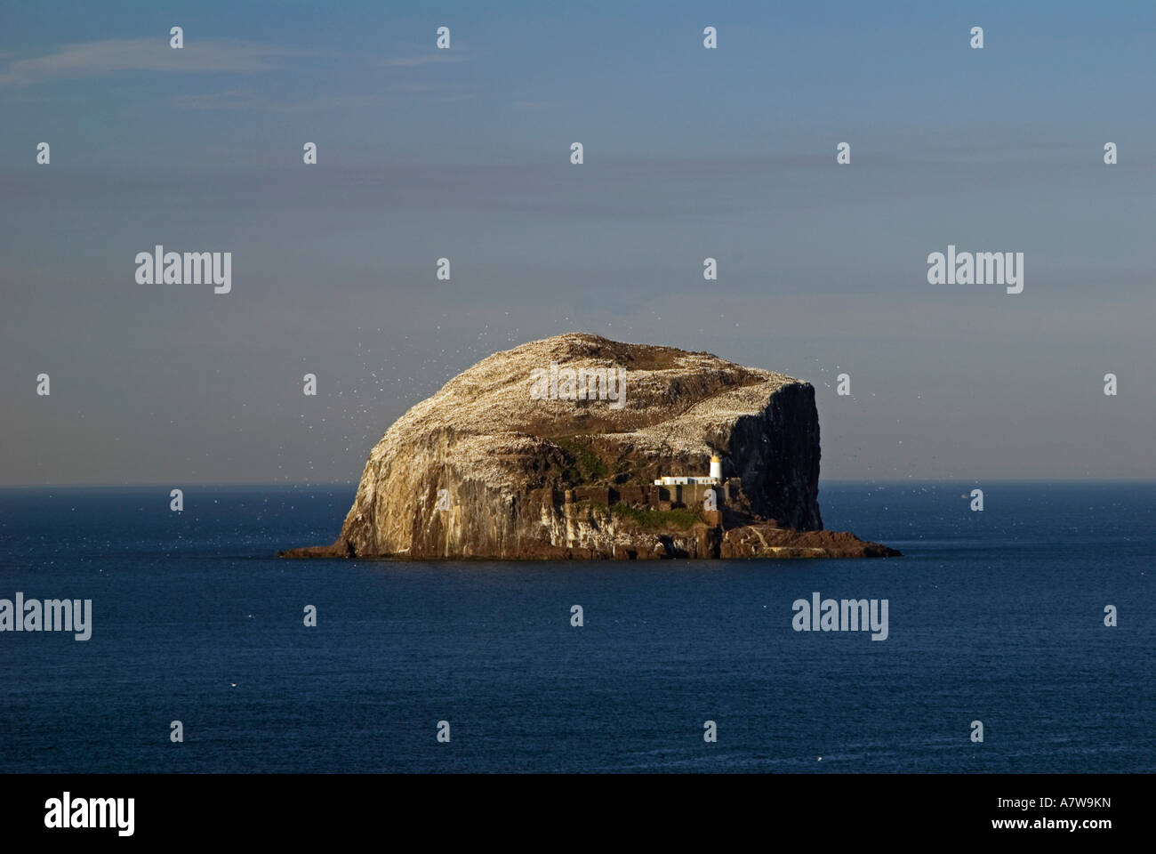 The Bass Rock,River Forth,Scotland Stock Photo