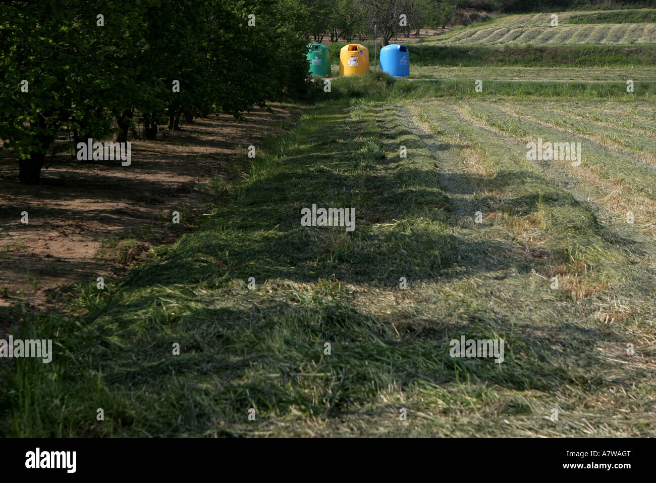 Recycling bins in a rural location Stock Photo Alamy