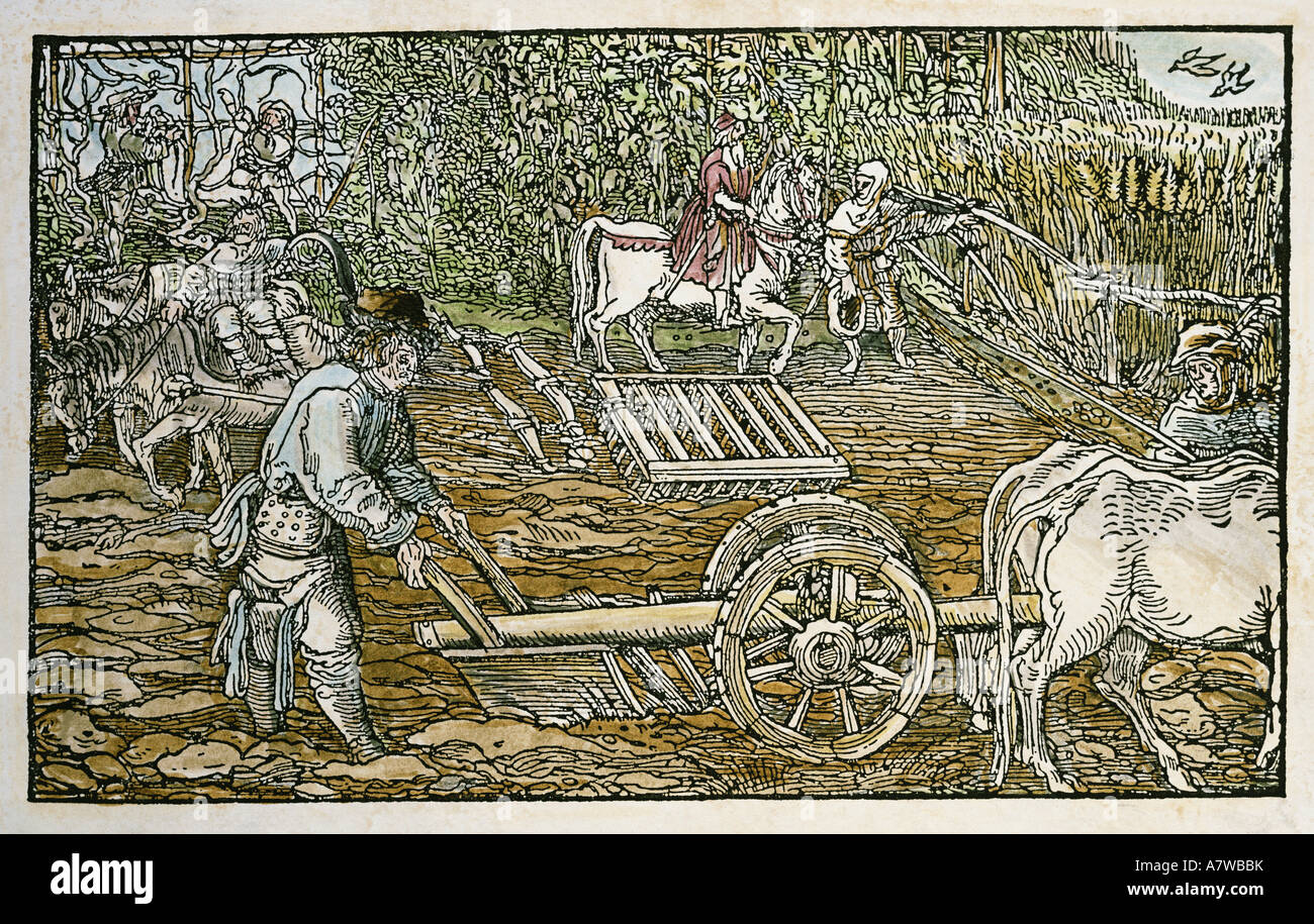 agriculture, farm labouring, ploughing, peasants ploughind and harrowing, woodcut, 'De remediis utriusque fortunae' by Francesco Petrarca (1344/1366), printed by the so-called Petrarca-master, Augsburg 1532 and later, , Stock Photo