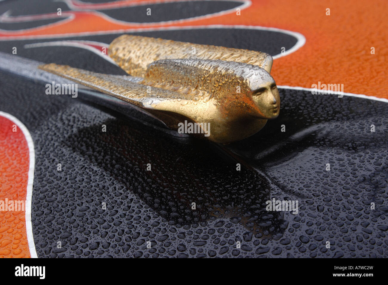 Gold Hood Ornament Stock Photo Alamy