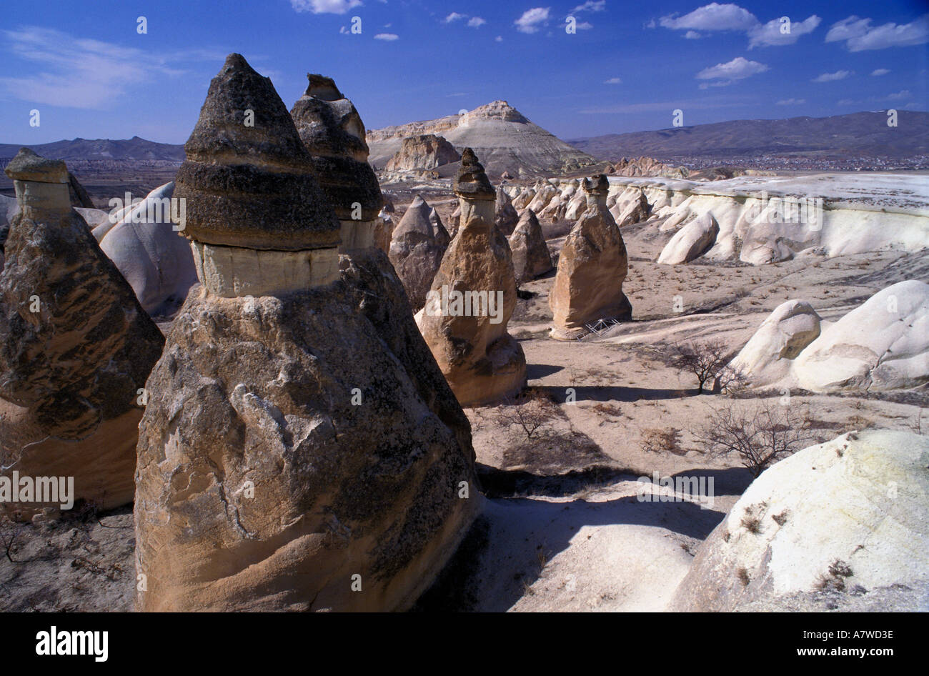 Fairy chimneys in Cappadocia Turkey Stock Photo