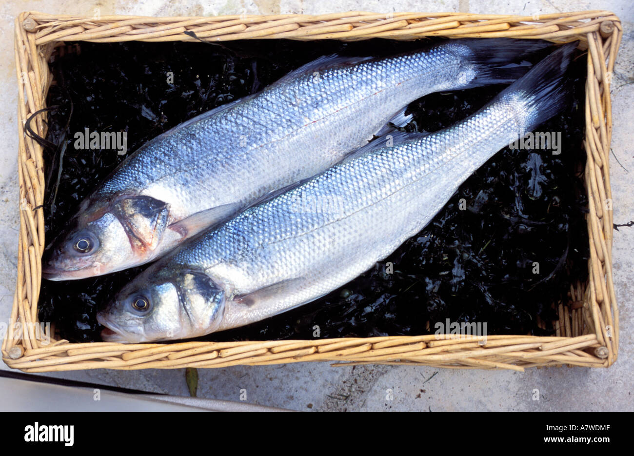 Fish basket hi-res stock photography and images - Alamy