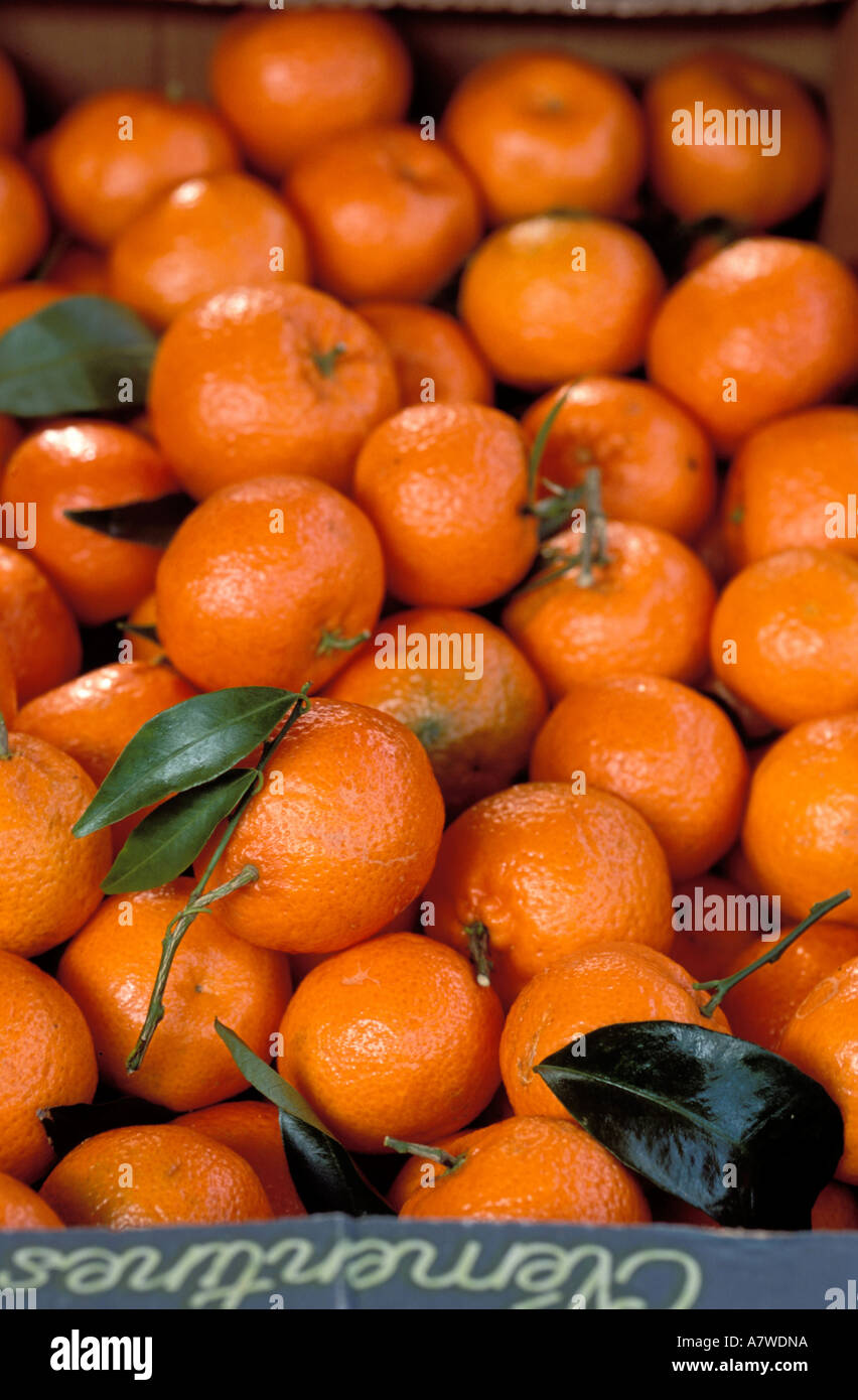 France, clementines fruits Stock Photo Alamy