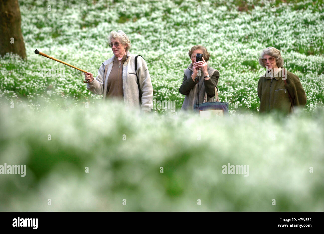 A GROUP OF LADIES VISITING PAINSWICK ROCOCO GARDENS IN GLOUCESTERSHIRE TO SEE THE SNOWDROPS UK Stock Photo