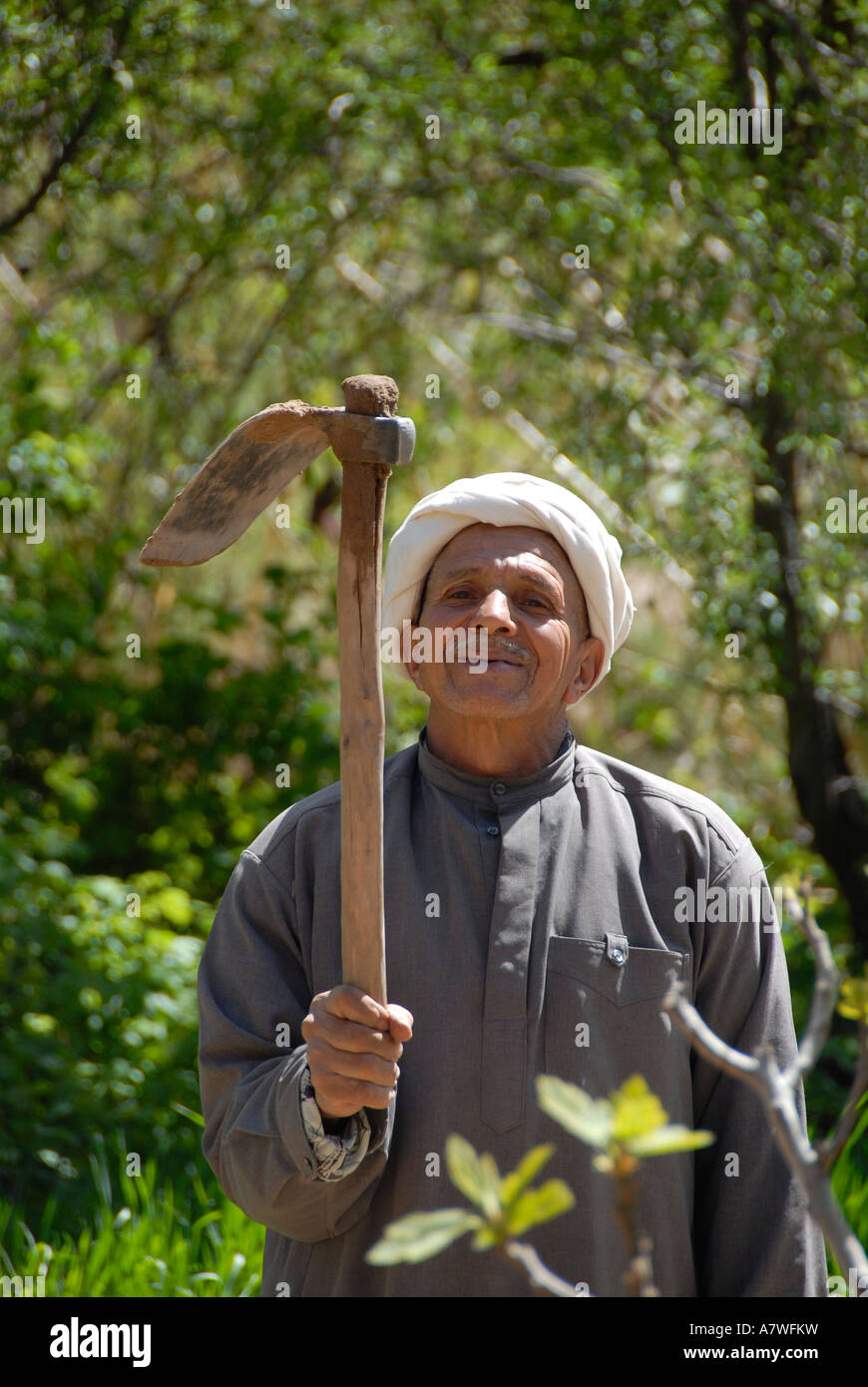 Smiling farmer holds his hoe in the forest near Tourbist Morocco Stock Photo