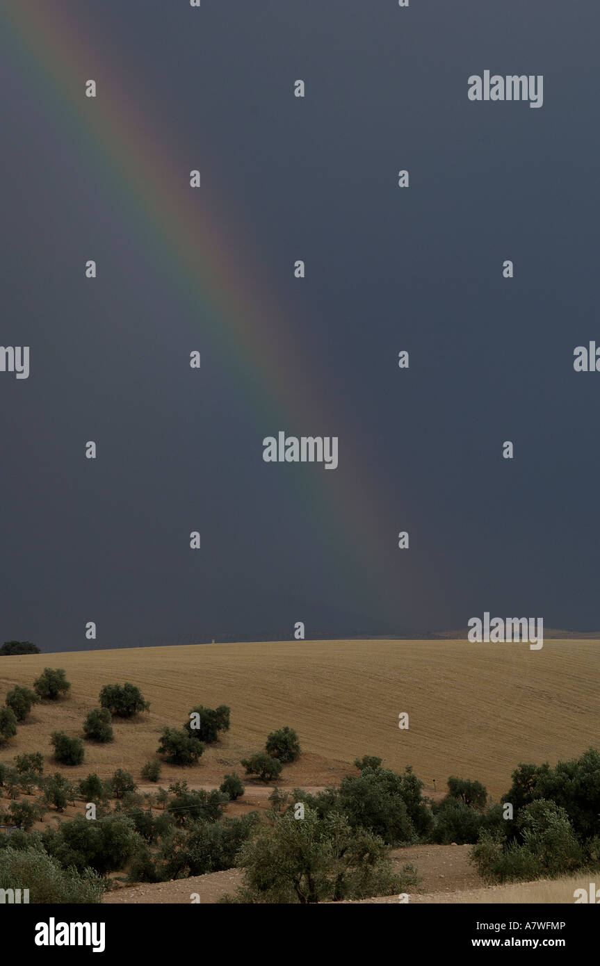 Rainbow after the storm Stock Photo - Alamy
