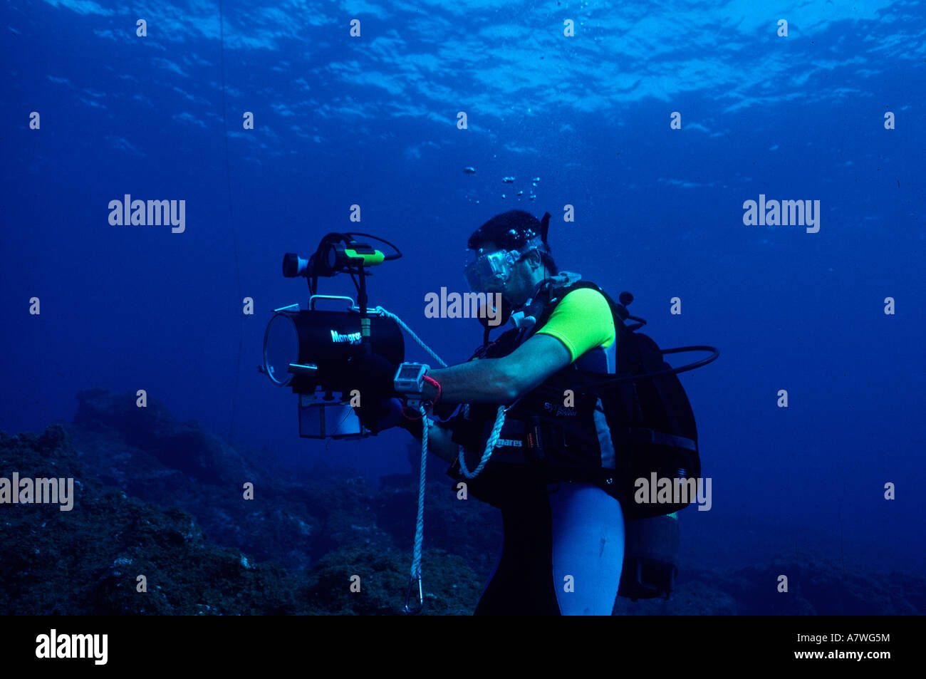 Underwater cameraman preparing his equipment Stock Photo Alamy