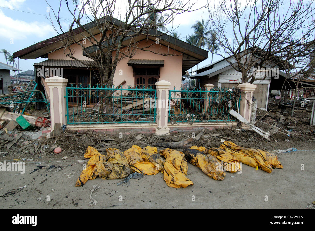 Indonesia Sumatra Banda Aceh Post Tsunami Recovered corpses waiting