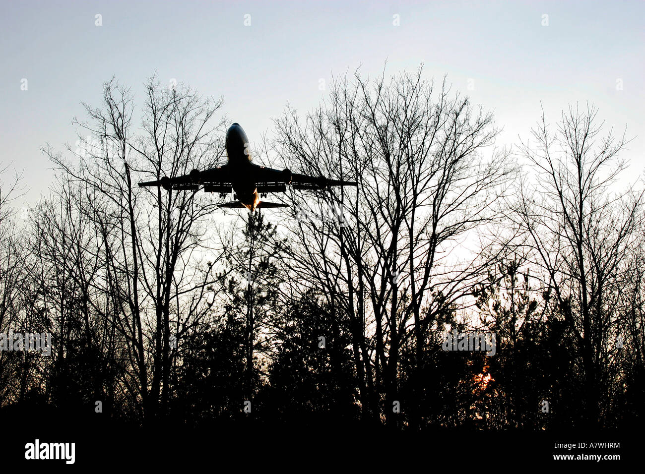 Jet Boeing 747 landing in evening light above a forest Stock Photo
