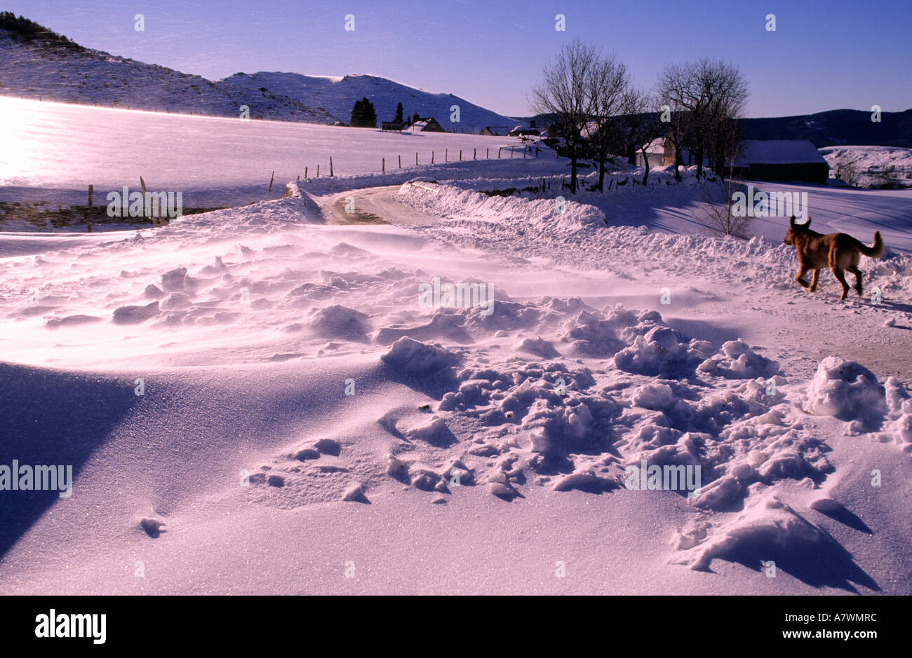 France, Lozere, Mount Lozere, Finiels village Stock Photo Alamy