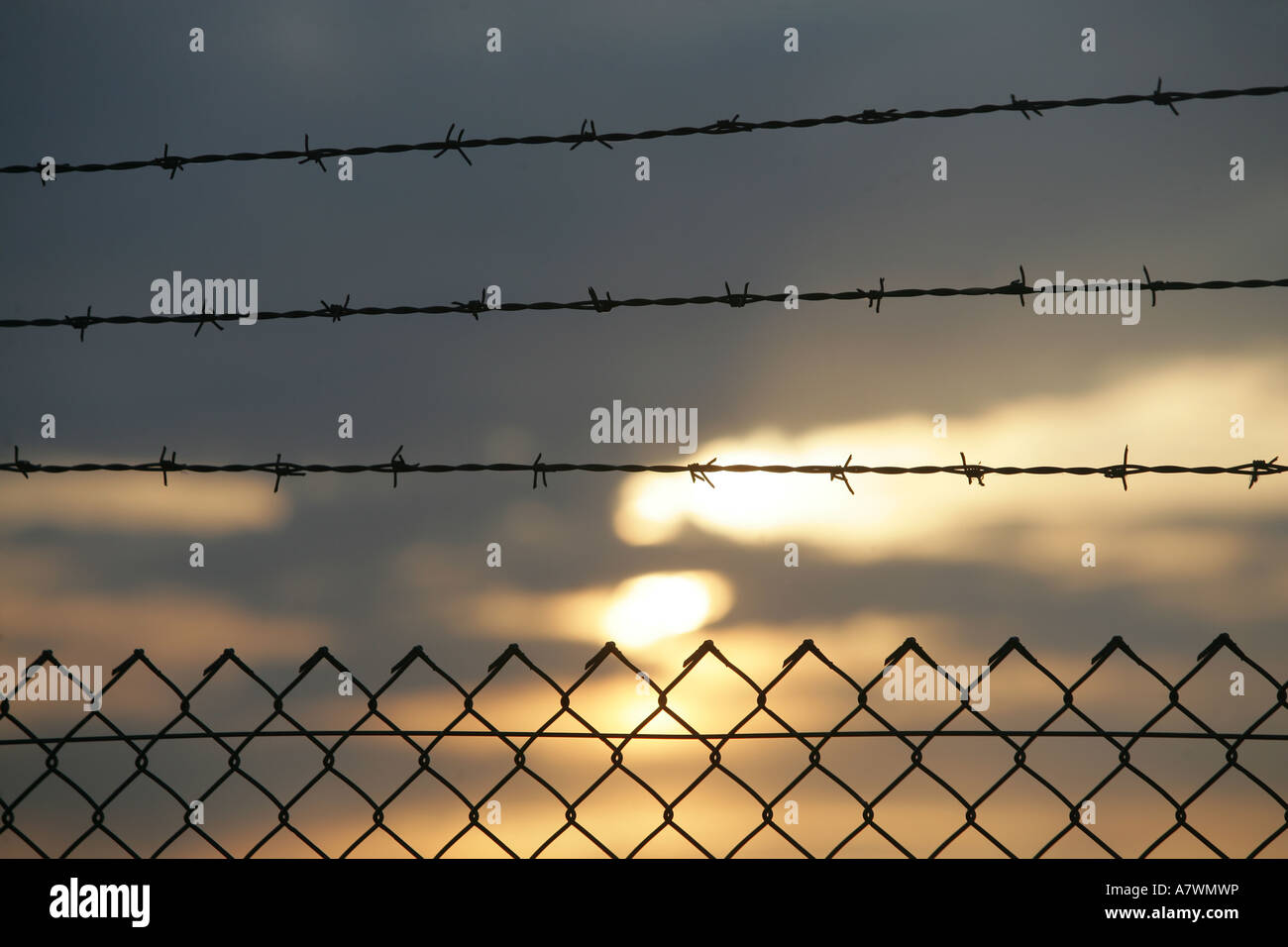 Netting wire with an barbwire above Stock Photo